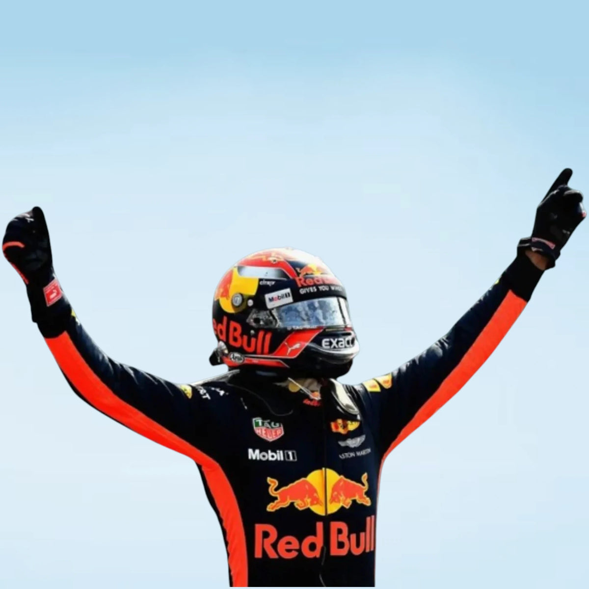 2017 Max Verstappen Red Bull Racing F1 Suit
